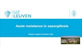 Lagrou Azole resistance in aspergillosis 13052019 · 2019. 5. 24. · azole-resistant isolates from unrelated patients • Lack of sporulation and reduced growth rate may occur Patient