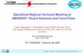 Operational Regional Hurricane Modeling at NWS/NCEP ......Changes for the DA/GSI increment blending Test the possibility of including the land-based radar observations (88D Vr data)
