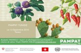 PAMPAT TUNISIE - conect.org.tn · groupée dans le secteur agroalimentaire en Tunisie (ex eptée l’huile d’olive) sous le leadership du GICA Suite à ce programme de promotion,