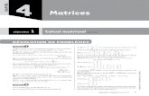 CHAPITRE 4 Matrices - Chez.commuizon.chez.com/Cours/TS/Spe/Exos/4Matrice.pdf · CHAPITRE 4 Matrices - Chez.com ... t ...