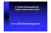 I Tumori Neuroendocrini Gastro-entero-pancreatici · 2017. 1. 12. · I TUMORI NEUROENDOCRINI PANCTREATICI I tumori che originano dalle cellule neuroendocrine dell’apparato gastrointestinale