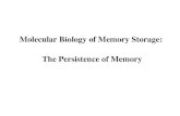 Molecular Biology of Memory Storage: The Persistence of ...energy.nobelprize.org/presentations/kandel.pdfW303a Kar1-15pO Kar1-15pO CPEB as a Candidate for the Self-Perpetuating Switch