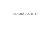 NERVIOSO 2016-17 · Nervios y ganglios Sistema nervioso El principal componente del sistema ... VIII par Vestíbulo coclear (Sensitivo): Equilibrio y audición IX par Glosofaríngeo