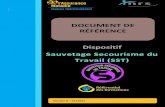 DOCUMENT DE RÉFÉRENCE Dispositif Sauvetage Secourisme du ... · 4 Document de référence du dispositif SST – V7 - 01/2020 1. Préambule/Etude d’opportunité/Contexte 1.1 Préambule
