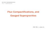 Flux Compactiﬁcations, andtetsuji.kimura/NOTEs/2012/...理化学研究所橋本数理物理学研究室 セミナー(2012年5月07日) Flux Compactiﬁcations, and Gauged Supergravities