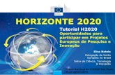 HORIZONTE 2020 - FAPEG · 2018. 5. 4. · HORIZONTE 2020 Tutorial H2020 Oportunidades para participar em Projetos Europeus de Pesquisa e Inovação Elisa Natola Delegação da União