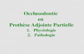 Occlusodontie en Prothèse Adjointe Partielleletexierserge.com/3eme-cycle/occlusodontie-en-pap.pdf · 2018. 3. 29. · • Une Analyse Occlusale : DV, contacts prématurés déflecteurs