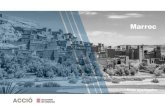 Presentació del PowerPoint...Marroc | Nota econòmica 4Principals sectors per volum d’importacions a Marroc Proveïdors principals, 2019 (% sobre total importacions)Espanya França