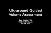 Ultrasound Guided Volume Assessment...The comet-tail artifact: an ultrasound sign ruling out pneumothorax. Intensive Care Med. Apr 1999;25(4):383-388. • Lichtenstein D, Meziere G,