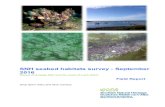 SNH seabed habitats survey September 2016...SNH seabed habitats survey - August 2016 (South Skye sea lochs) - Field report 9 Table 2: Details of dive transects and spot dives (no.