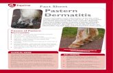 Fact Sheet Choke Pastern Dermatitis - Belmont Farm and ......Pastern Dermatitis XLVets Equine - Better Together Fact Sheet XLEquine - Better Together Pastern dermatitis is not a diagnosis