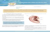 3. Chirurgie des oreilles decollees 1...Un lobe de l'oreille trop décollé (valgus du lobe). Une otoplastie peut être réalisée sur les deux oreilles ou bien parfois sur une seule
