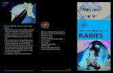 RABIES - RI Dept. of Health• Rabies is a deadly viral disease that affects the nervous system (brain, spinal cord, and nerves). • Rabies is spread by touching the saliva of an