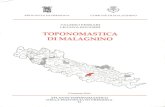 TOPONOMASTICA - Biblioteca digitale - Provincia di Cremonabibliotecadigitale.provincia.cremona.it/toponomastica/... · 2011. 10. 6. · TOPONOMASTICA DI MALAGNINO Cremona 2006. Presentazione