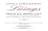 The LUING CATTLE SOCIETY · 2015. 5. 6. · The LUING CATTLE SOCIETY DINGWALL SPRING SALE Wednesday 20th May 2015 at 11.00am approx. Sale of Pedigree and Commercial Stock 74 Head