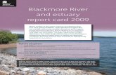 Blackmore river and estuary report card 2009 · PDF file 2018. 10. 5. · Blackmore River and estuary Blackmore River and estuary report card 2009 Water quality at the upper estuary
