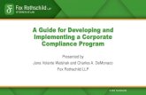 A Guide for Developing and Implementing a Corporate … Guide... · 2020. 9. 3. · Areas Where a Corporate Compliance Program Is Particularly Important •Top areas for corporate