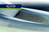 Schunk Carbon Technology SiC30 – Silicon Carbide / Graphite … · 2018. 12. 14. · network of graphite and silicon carbide (relics of coherent carbon structure or the pore system