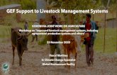 GEF Support to Livestock Management Systems...Policy and legislation transformation on livestock and pasturelands management Integrated land-use planning Capacity building (institutions,