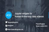 ASI Data Science London-based data science · About me — Committer for Jupyter widgets — Main author of jupyter-gmaps, a library for visualizing geographical data in Jupyter notebooks