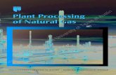 Plant Processing of Natural Gas - UT PETEX · 2017. 10. 17. · Turboexpanders 122 Cyrogenics 127 References 130 CHAPTER 9. Fractionation and Liquid Treating 131 Fractionation 131