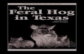 The Feral Hog in Texas - Texas A&M AgriLifeagrilife.org/feralhogs/files/2010/05/TPWD-The-Feral-Hog... · 2011. 3. 16. · 1 Feral hogs (Sus scrofa) are an old world species belonging