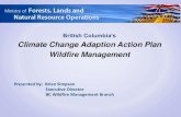 British Columbia’s Climate Change Adaption Action Plan Wildfire Managementwildfire/2014/PDFs/BSimpson.pdf · 2015. 4. 10. · BC Wildfire Management Branch British Columbia’s