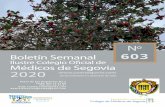 Ilustre Colegio Oficial de Médicos de Segovia 2020 603 COMPLETO.pdf · Segovia, a 1 de DICIEMBRE de 2020. Adjuntamos convocatoria en la sección de Anexos. Secciones Informativas