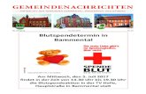 GN KW24 2017 haess - Wiesenbach › wp-content › uploads › 2013 › ...Juni 2017 Nr . 24 ... Tägliche Anlieferung von warmen Mahlzeiten (auch am Wochenende). Frauenhaus Heidelberg