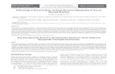 Pathological Examination of Deep Pectoral Myopathy in ...vetdergikafkas.org/uploads/pdf/pdf_KVFD_2136.pdf · Derin Pektoral Myopati (DPM), broyler ve hindilerin pektoral kaslarında