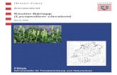 Keulen-Bärlapp (Lycopodium clavatum) - HLNUG · 2016. 8. 31. · Lycopodium clavatum auch in Nordhessen einige deutliche Verbreitungslücken. Im Gegensatz zur vergleichsweise weiten