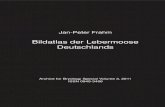 Lebermoose Deutschlands 1 Volume 3.pdf · 2011. 2. 25. · Plagiochila porelloides Phaeoceros carolinianus 66 P. 67 Plagiochila asplenioides P 67. 68 Pleurocladula albescens Porella
