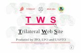Trilateral W eb Site - WIPO...2B001 2B002 2B003 2B004 2B005 2B006 2B007 Back to Top Page Trilateral Web Site - TWS F-Term Lists Theme Code 20 Back to Top Page Trilateral Web Site -