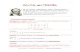 CALCUL MATRICIEL - maths et tiques · 2019. 10. 14. · Définition : Une matrice de taille n x 1 est appelée une matrice colonne. Exemple : Les coordonnées d'un vecteur du plan