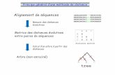 Matrice des distances évolutives entre paires de séquencessilico.biotoul.fr/enseignement/m1-mabs/EvolMol/pdf2012/...Exemple : Parenthèse sur les opérations sur les matrices Calcul