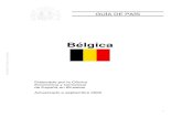 Bélgica - upv.esBajo el sistema de monarquía parlamentaria, Bélgica es, desde 1993, un Estado Federal cuya organizaciónpolítico-administrativase divide en tresniveles:el Estado