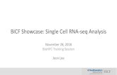 BICF Showcase: Single Cell RNA-seq Analysis...Cell Ranger Overview • Cell Ranger is a set of analysis pipelines that process Chromium single-cell RNA-seq output to align reads, generate