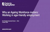 Why an Ageing Workforce matters: Working in age-friendly … PPT.pdf · 2021. 1. 21. · Kim Chaplain Associate Director –Work October 2020. Centre for Ageing Better A society in