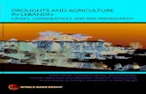 DROUGHTS AND AGRICULTURE IN ... DROUGHTS AND AGRICULTURE IN LEBANON CAUSES, CONSEQUENCES, AND RISK MANAGEMENT DORTE VERNER, MAXIMILLIAN ASHWILL, JENS CHRISTENSEN, RACHAEL MCDONNELL,