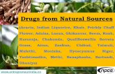 Drugs from Natural Sources - Entrepreneur India · 2017. 4. 26. · product medicines have come from various materials including terrestrial plants, terrestrial microorganisms, organisms
