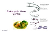 Eukaryotic Gene Control - AP BIOLOGY · Histone acetylation Acetylation of histones unwinds DNA loosely wrapped around histones enables transcription genes turned on attachment of