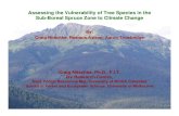 Assessing the Vulnerability of Tree Species in the Sub-Boreal ......Assessing the Vulnerability of Tree Species in the Sub-Boreal Spruce Zone to Climate Change Craig Nitschke, Ph.D.,
