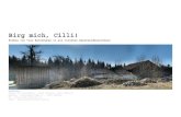 Birg mich, Cilli! · 2016. 3. 23. · Das Baukonzept von „Birg mich, Cilli!“ 1. es bleibt fast alles, wie es ist 2. neue Räume im Bestand 3. offen für das Alte: Wandausschnitte