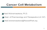 Cancer Cell Metabolism - Buffalo, NY | Roswell Park ...€¦ · Matthew!G.!Vander!Heiden!etal,!Science,!2009! Cancer cells must compensate for the ~18-fold lower efficiency of ATP