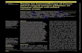 Society for Immunotherapy of Cancer (SITC) clinical practice ...MausflMV, etal mmunoter ancer 20208:e001511 doi:101136/itc-2020-001511 1 Open access Society for Immunotherapy of Cancer