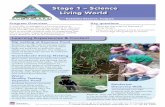 Stage 1 – Science Living World · 2020. 12. 7. · Stage 1 – Science Living World Katandra Reserve, Holgate A scientific investigation of environments at Katandra Reserve that