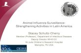Animal Influenza Surveillance: Strengthening Activities in Latin … 1... · 2017. 7. 26. · H5, H7, H2 Antigenically novel H1 or H3 Risk to specific group Poultry –H5, H7 and