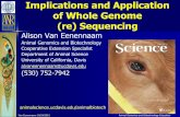 of Whole Genome (re) Sequencing - Alison Van EenennaamVan Eenennaam 10/24/2012 Animal Biotechnology and Genomics Education Human Gemone: 2001 Bovine Genome: 2009
