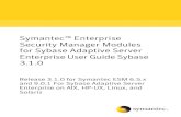 Symantec Enterprise Security Manager Modules for Sybase ......Symantec Enterprise Security Manager Modules for Sybase Adaptive Server EnterpriseUserGuideSybase 3.1.0 Release 3.1.0