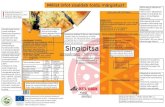Valmistamine: nisujahu Singipitsa - Toiduteave.ee...Millist infot sisaldab toidu märgistus? Singipitsa Külmutatud 400 g Toitumisalane teave Energiasisaldus 877 kJ/ 210 kcal 6,3 g